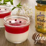 Vasetti di anguria- miele biologico di acacia e yogurt - Gardin