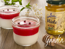 Vasetti di anguria- miele biologico di acacia e yogurt - Gardin