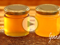 Il colore del miele - Apicoltura Gardin