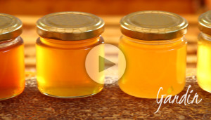 Il colore del miele - Apicoltura Gardin