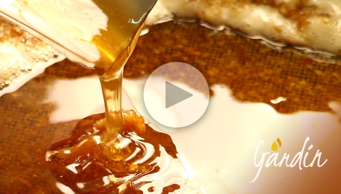 La smielatura del miele di millefiori - Apicoltura Gardin