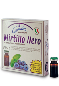 Fiale mirtillo nero - esterna