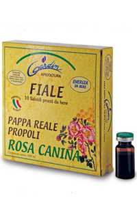 Fiale pappa reale propoli rosa canina - esterna