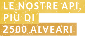 le nostre api apicoltura gardin